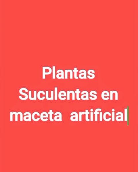Plantas suculentas en maceta artificial
