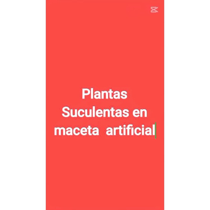Plantas suculentas en maceta artificial