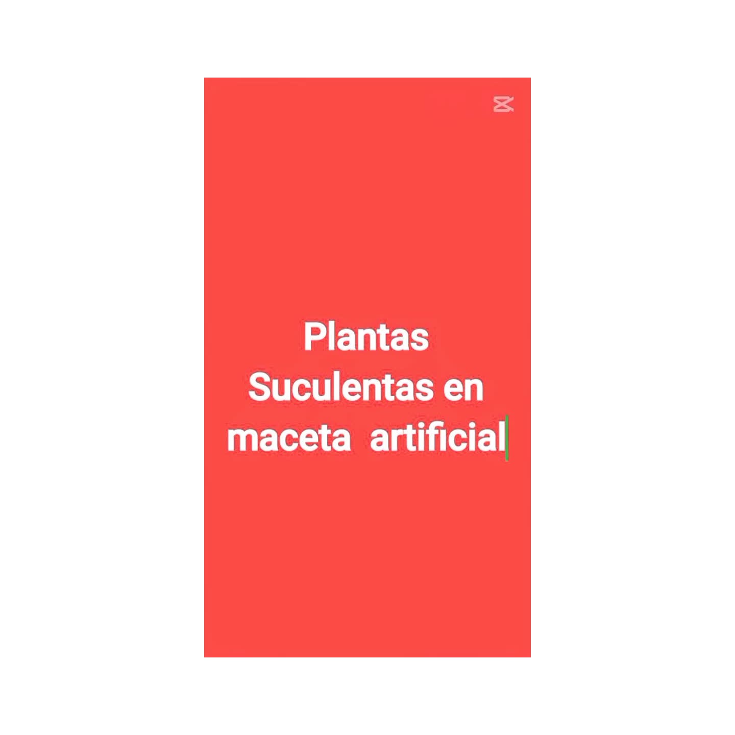 Plantas suculentas en maceta artificial