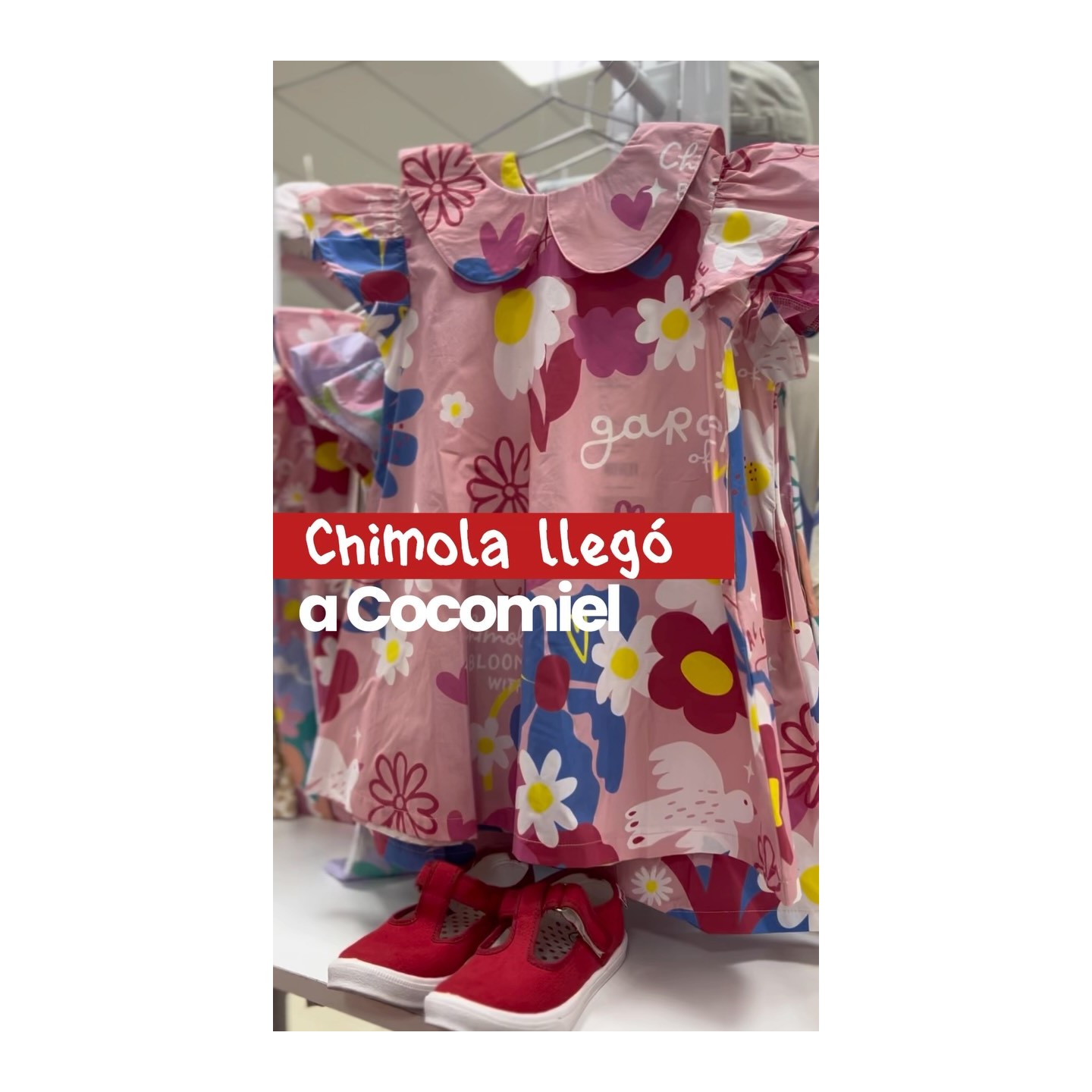 Ropa y accesorios Chimola