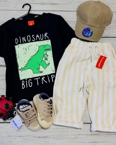 Remera oversize y baggy rayado rústico