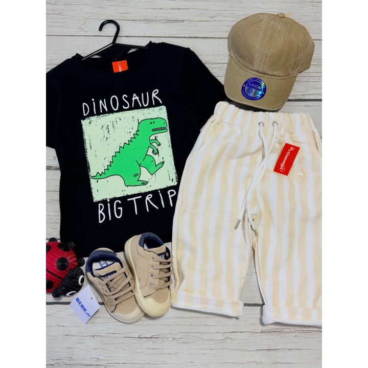 Remera oversize y baggy rayado rústico