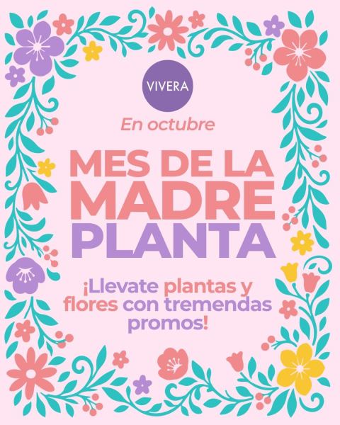 Promos Día de la Madre: plantas en maceta y ramos