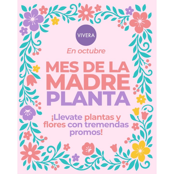Promos Día de la Madre: plantas en maceta y ramos