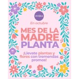 Promos Día de la Madre: plantas en maceta y ramos