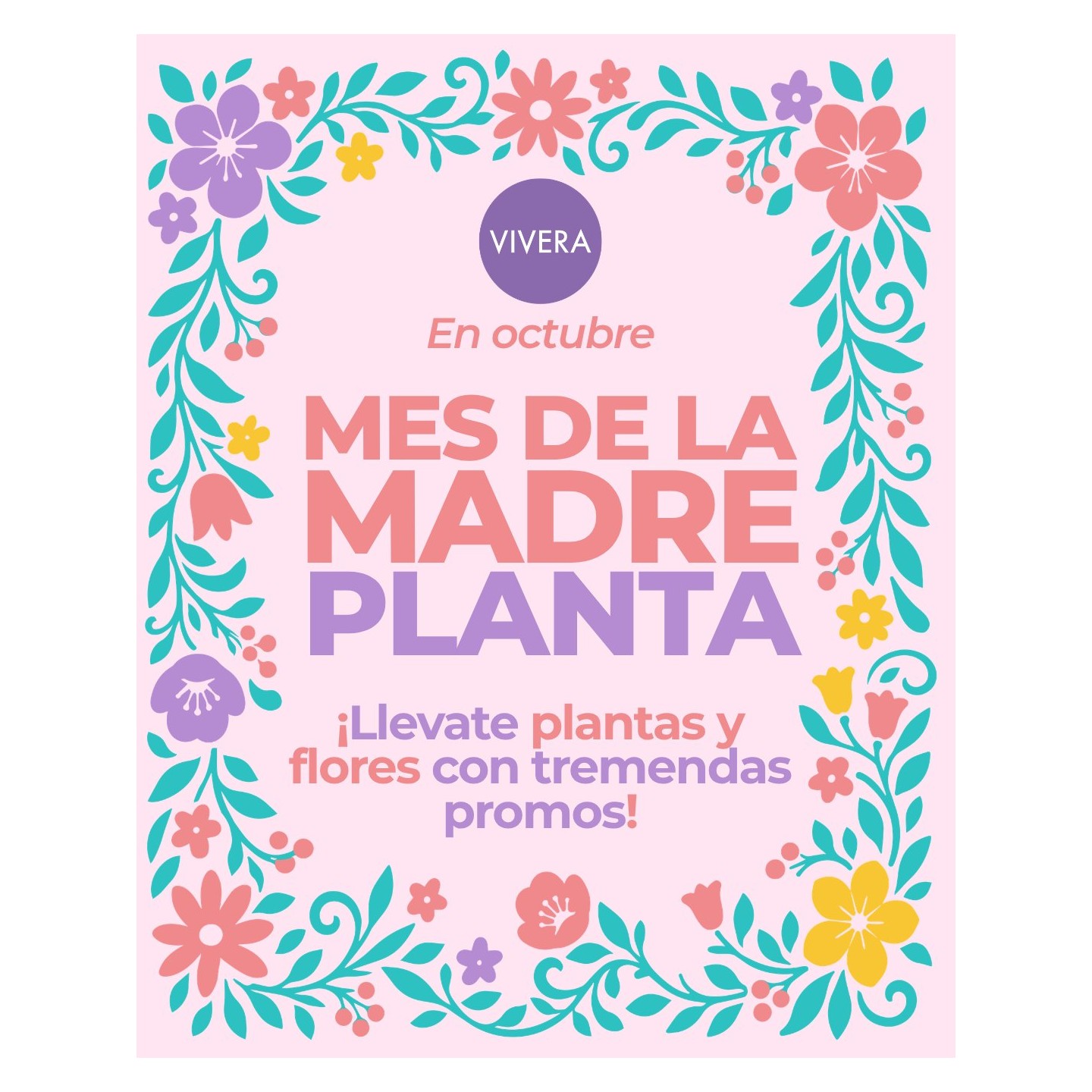 Promos Día de la Madre: plantas en maceta y ramos