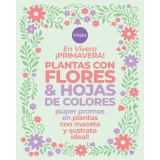 Plantas con flores y hojas de colores en maceta