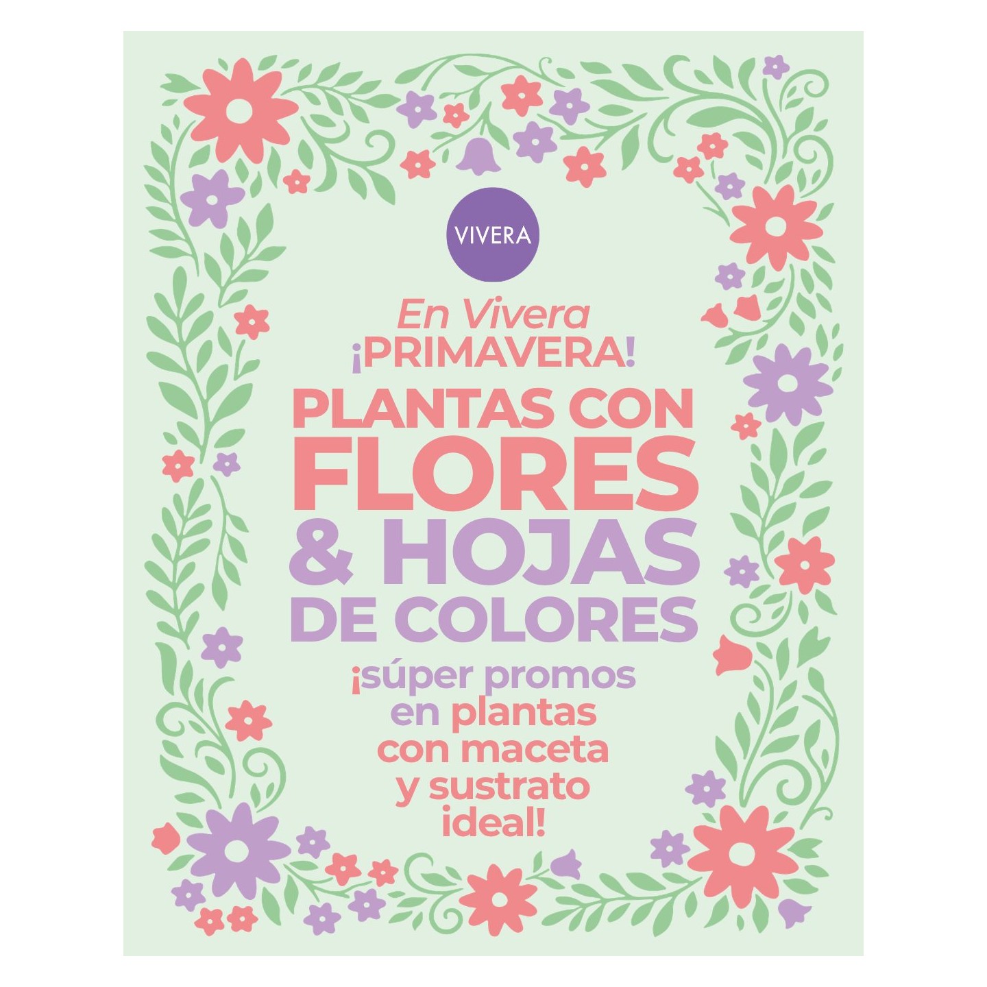 Plantas con flores y hojas de colores en maceta