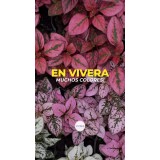 Plantas con flores y hojas de colores en maceta