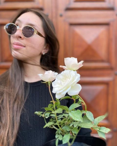 Rosal de rosas blancas