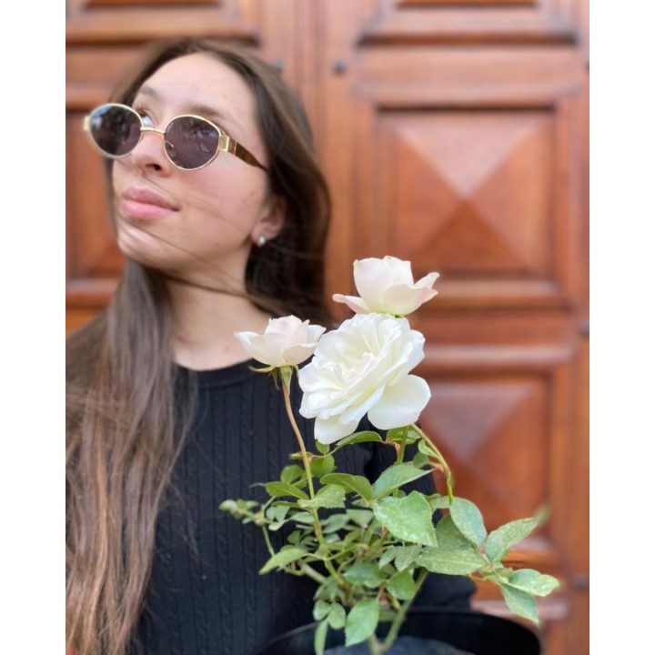 Rosal de rosas blancas