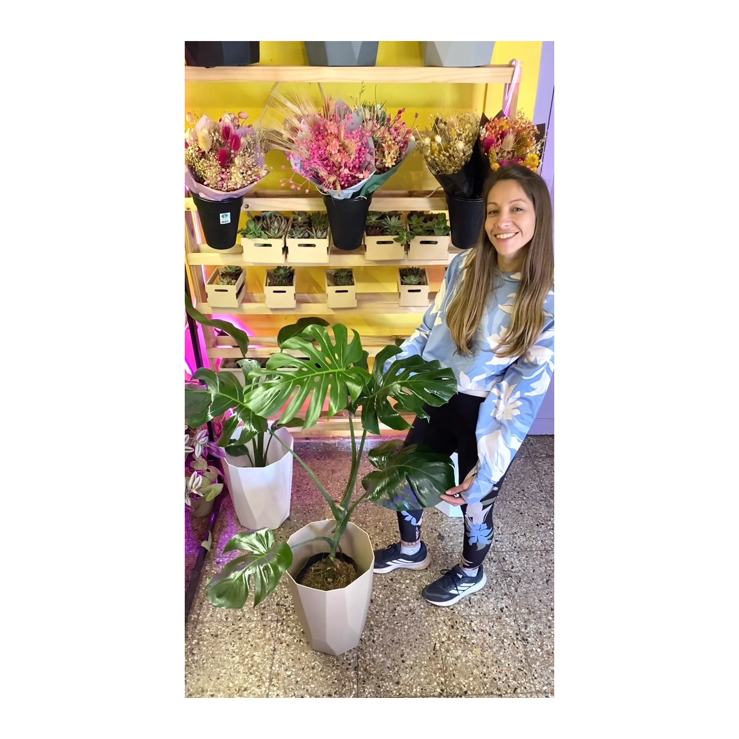 Monstera Deliciosa con maceta facetada piramidal