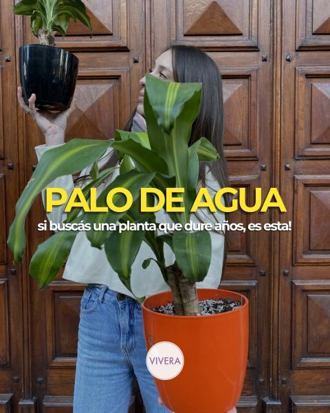 Palo de agua