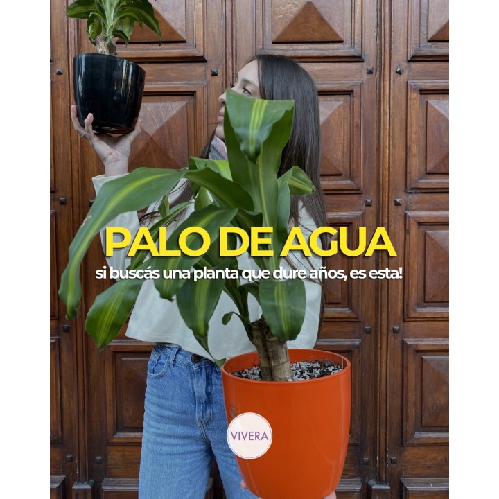 Palo de agua