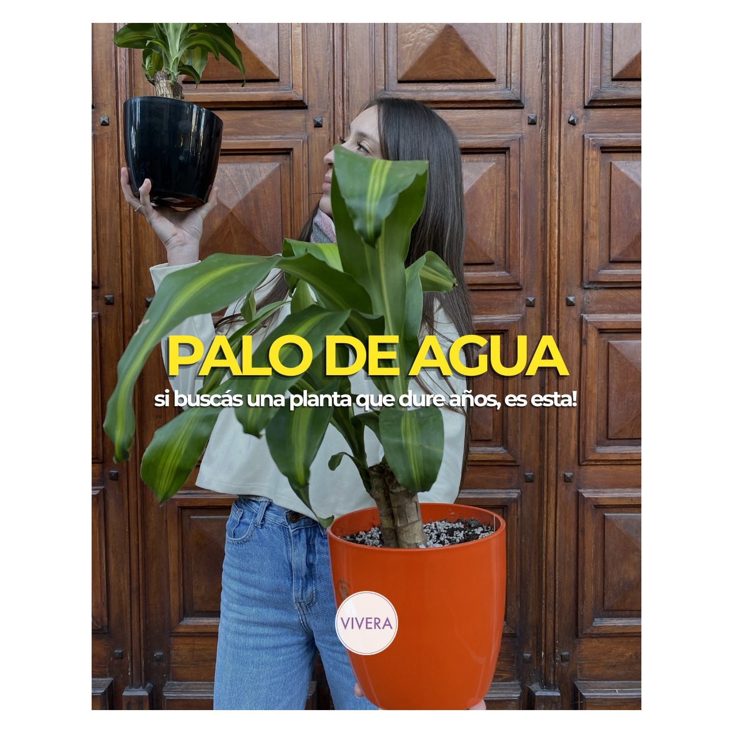 Palo de agua