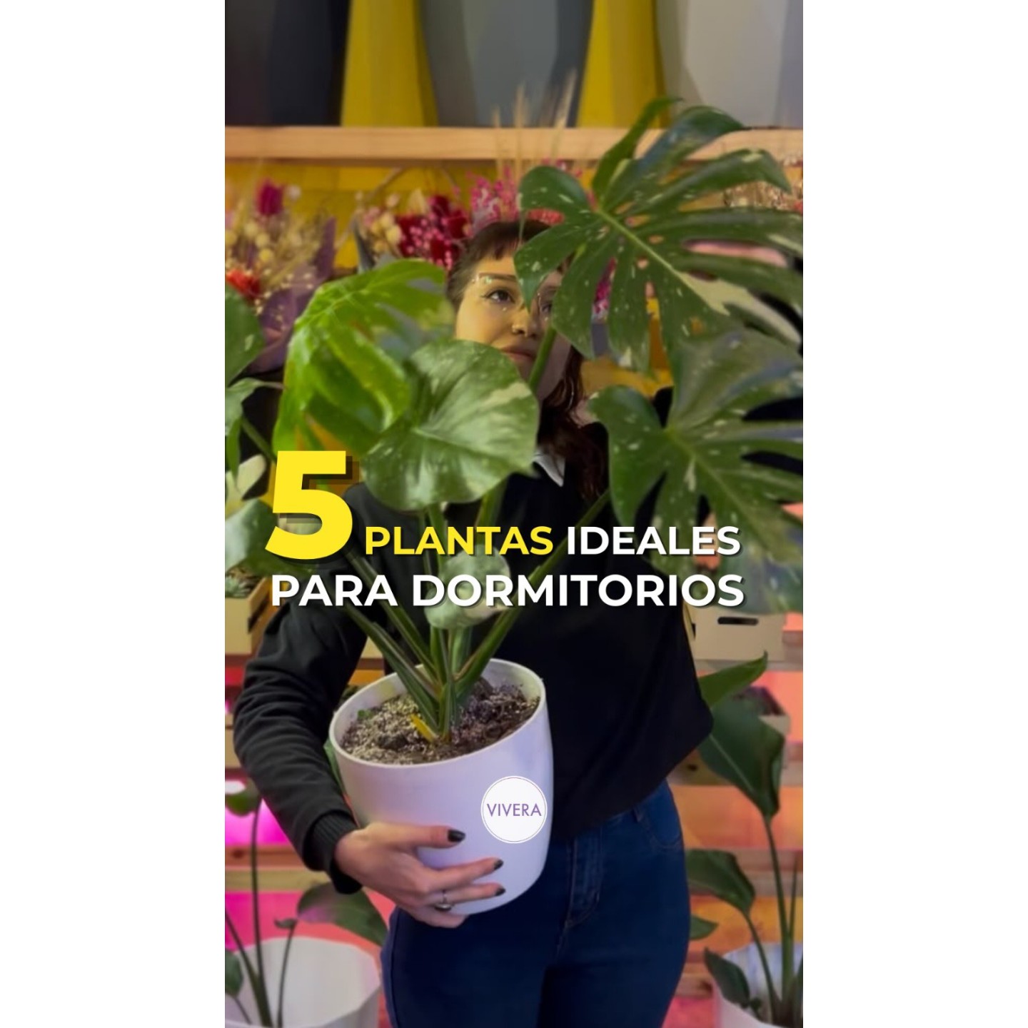 Plantas para el dormitorio