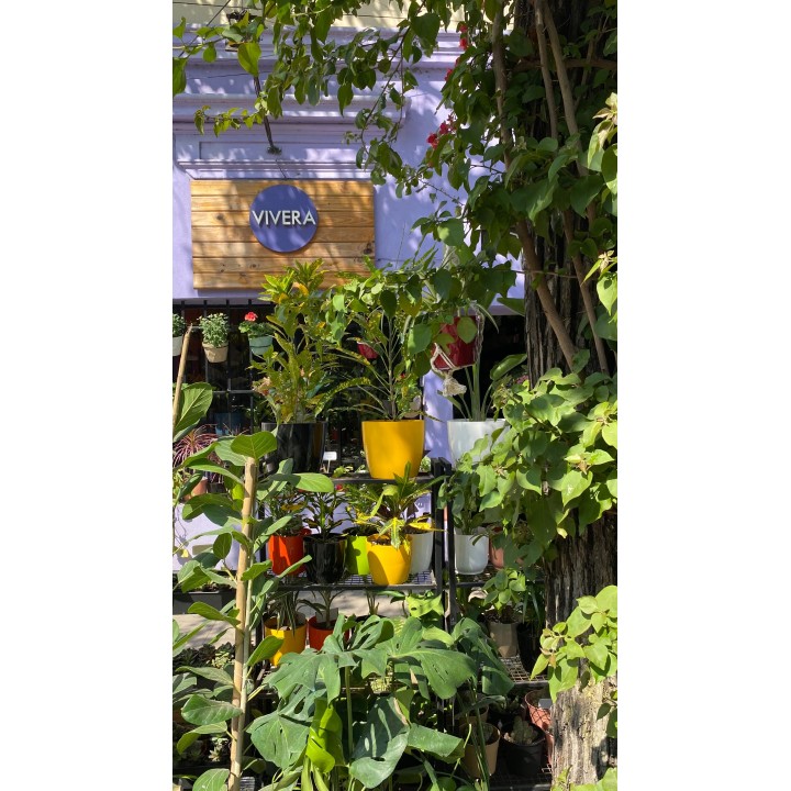 Vivero en el centro de Santa Fe