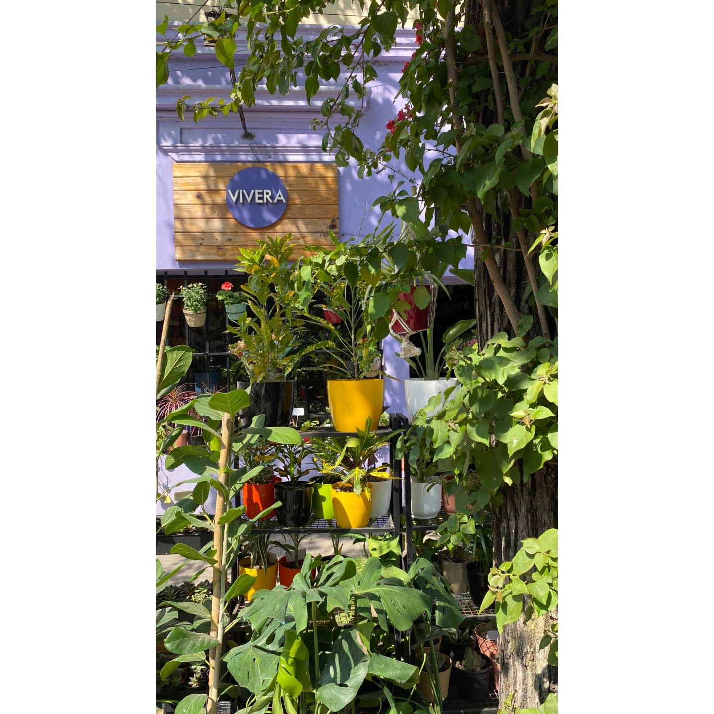 Vivero en el centro de Santa Fe