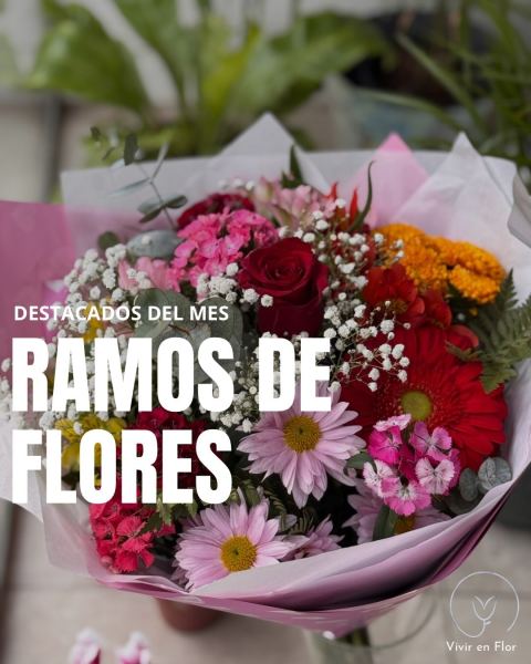 Ramos destacados del mes