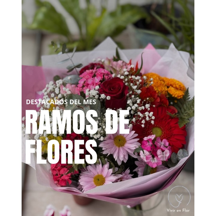 Ramos destacados del mes