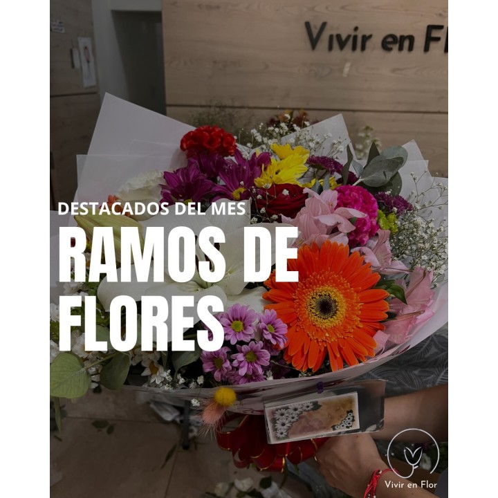 Ramos destacados del mes