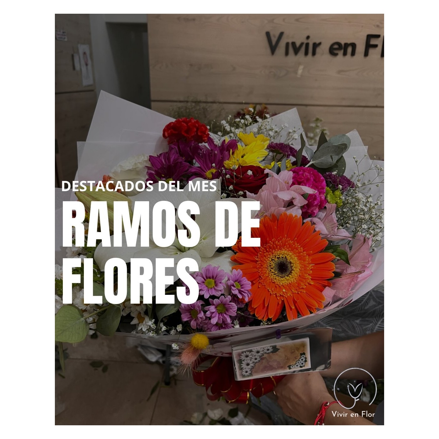 Ramos destacados del mes