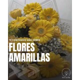 Ramos de flores amarillas: fresias, astromelias y girasoles