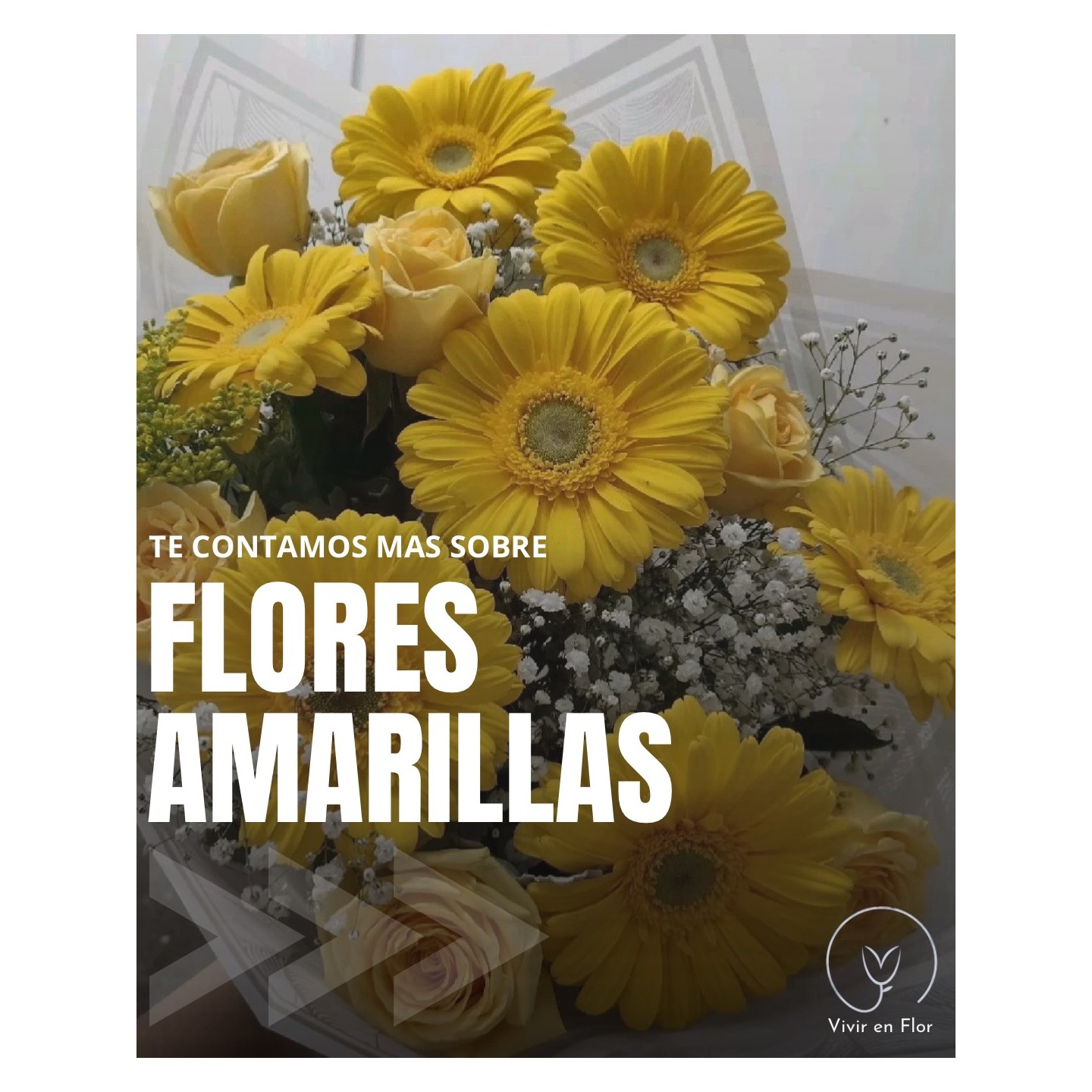 Ramos de flores amarillas: fresias, astromelias y girasoles