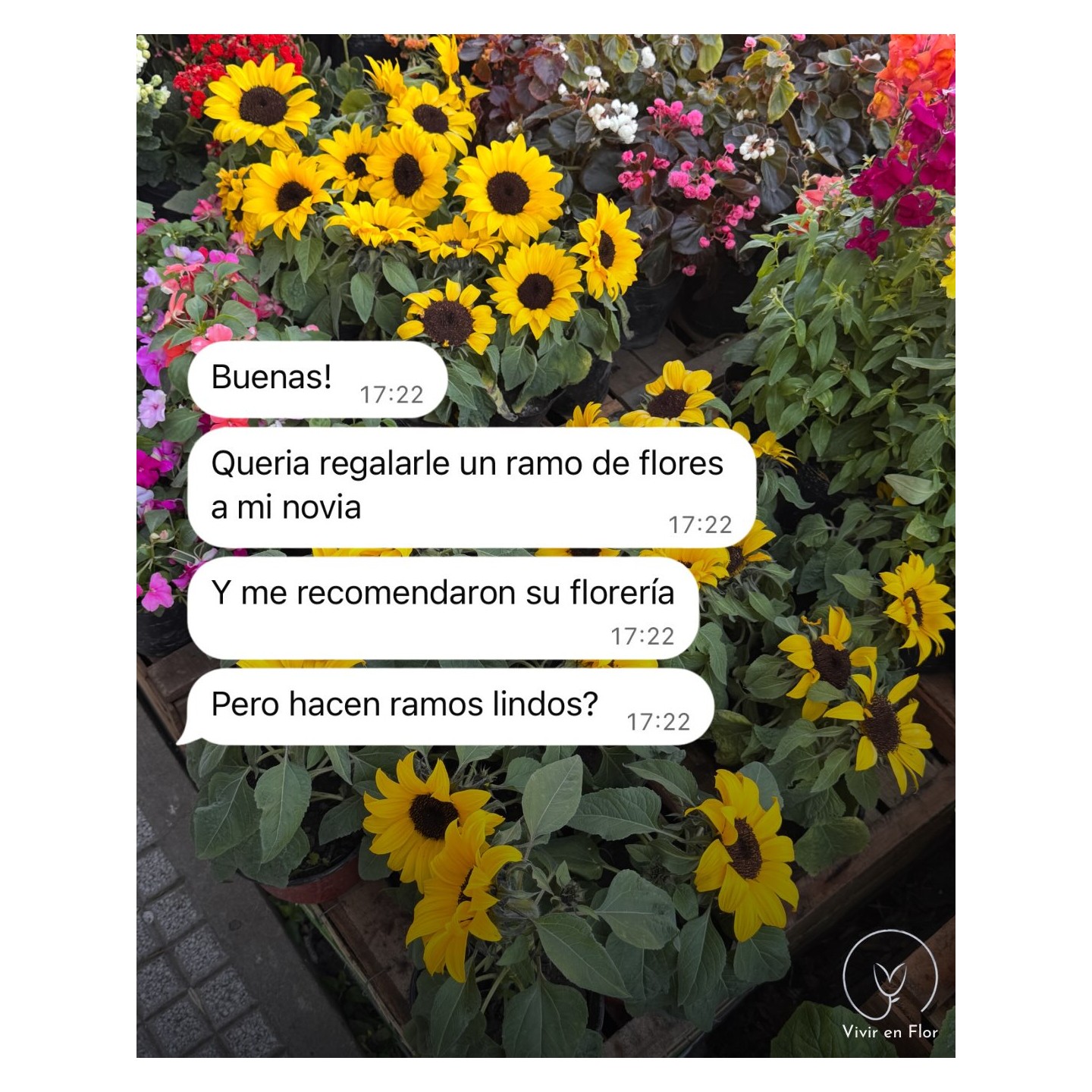 Ramos de flores de todos los colores