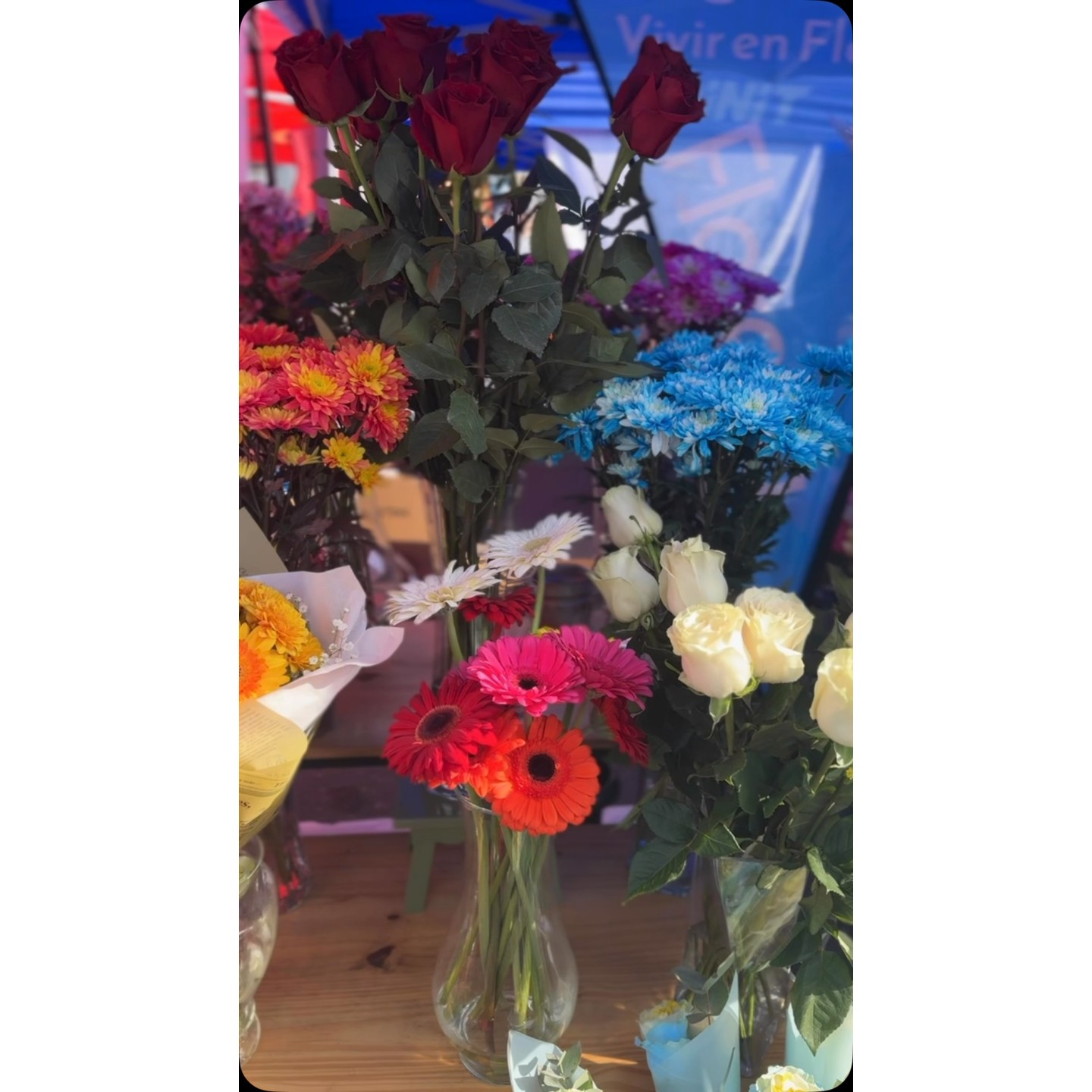 Ramos de rosas