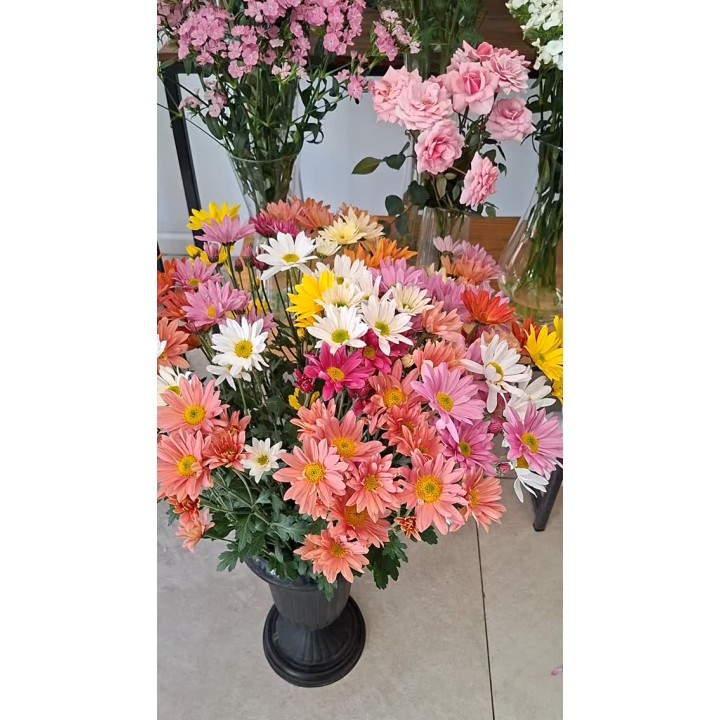 Las flores más elegidas: margaritas, gerberas y más