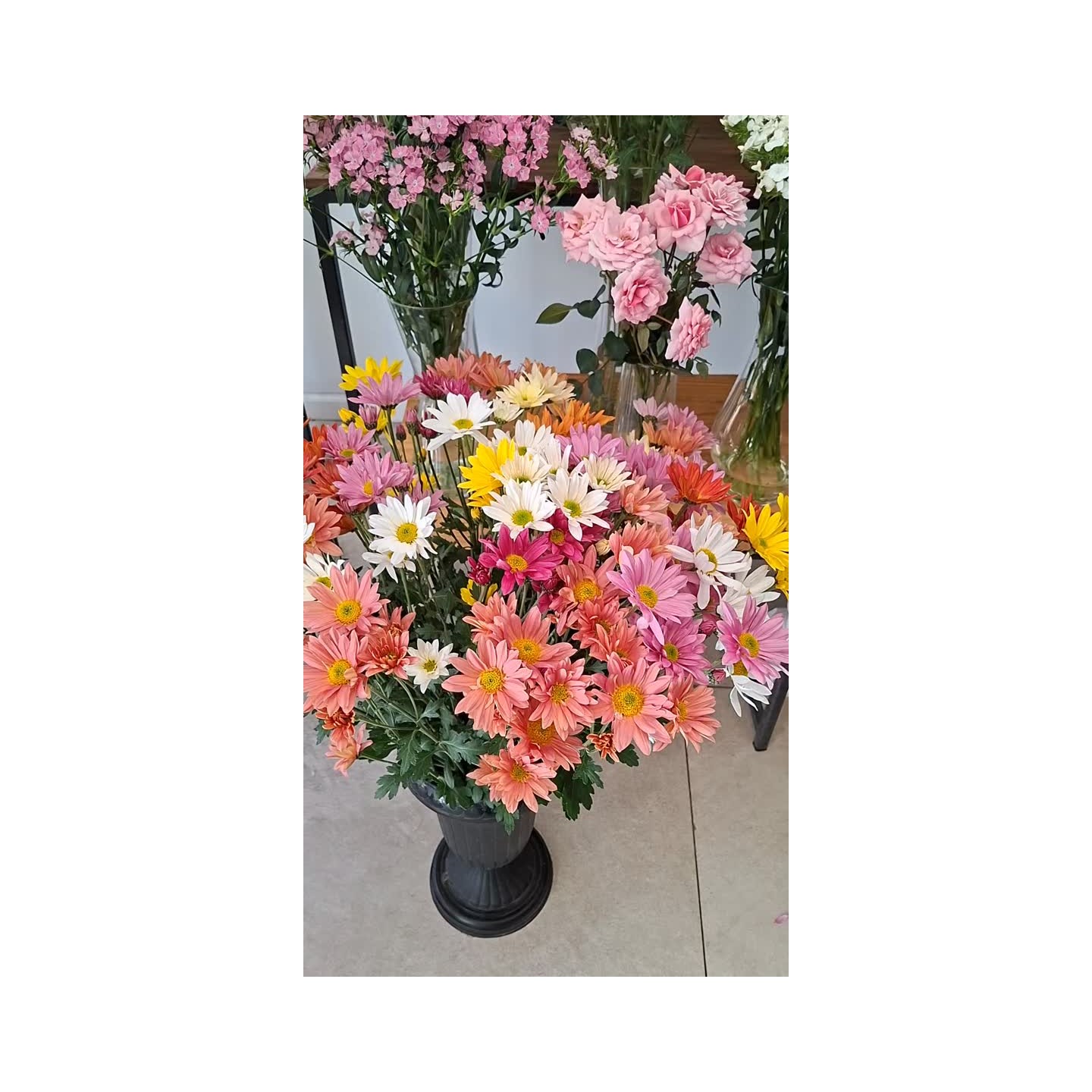Las flores más elegidas: margaritas, gerberas y más