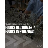 Flores nacionales e importadas, con asesoramiento para cuidarlas