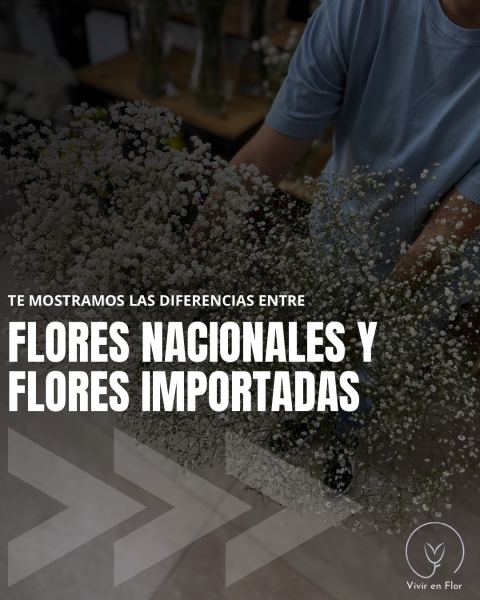 Flores nacionales e importadas, con asesoramiento para cuidarlas