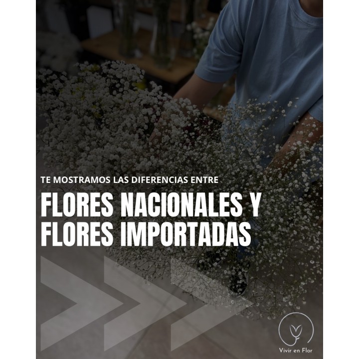 Flores nacionales e importadas, con asesoramiento para cuidarlas