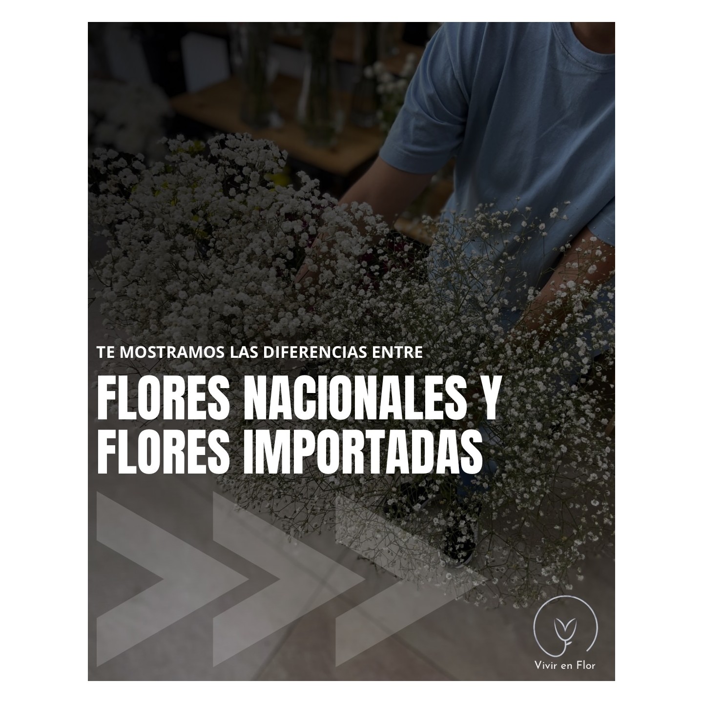 Flores nacionales e importadas, con asesoramiento para cuidarlas