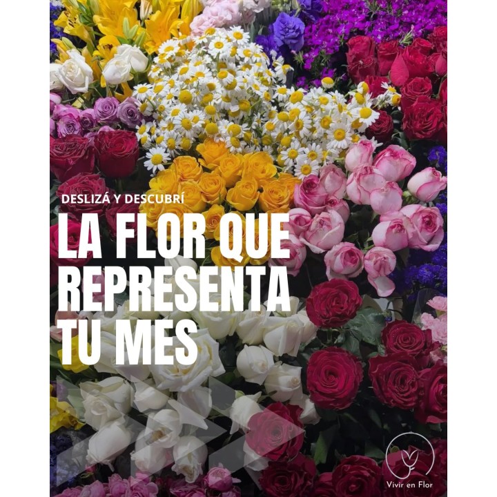 Ramo con la flor de tu mes de nacimiento