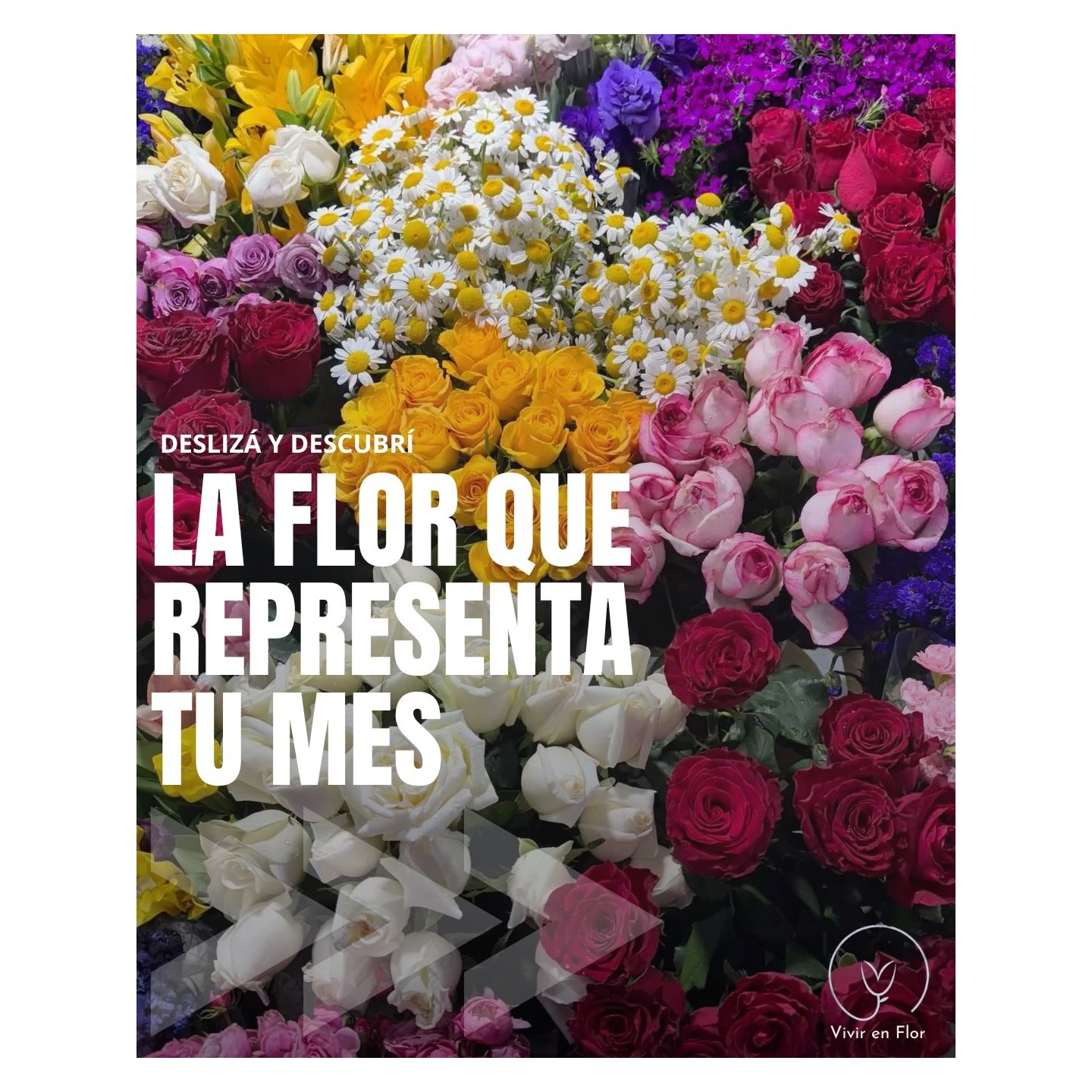 Ramo con la flor de tu mes de nacimiento