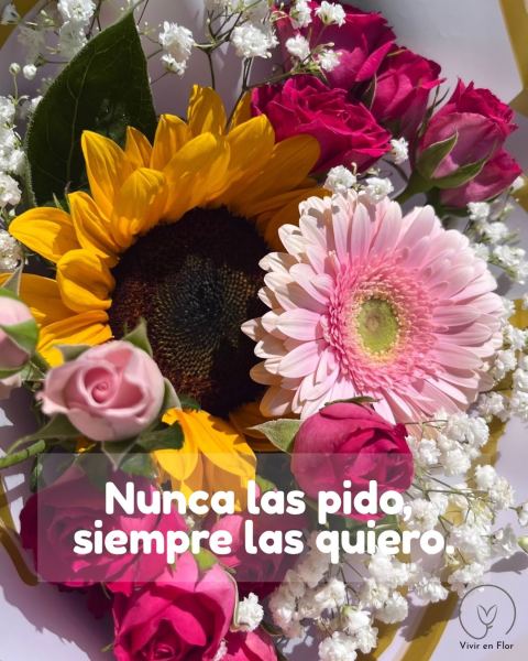 Flores para regalarte