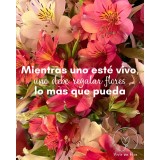 Flores para regalarte