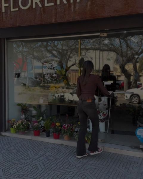 Florería en Av. Aristóbulo del Valle 7022