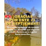 Flores frescas de estación