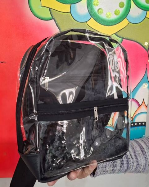 Mochilas, carteras y bolsos transparentes