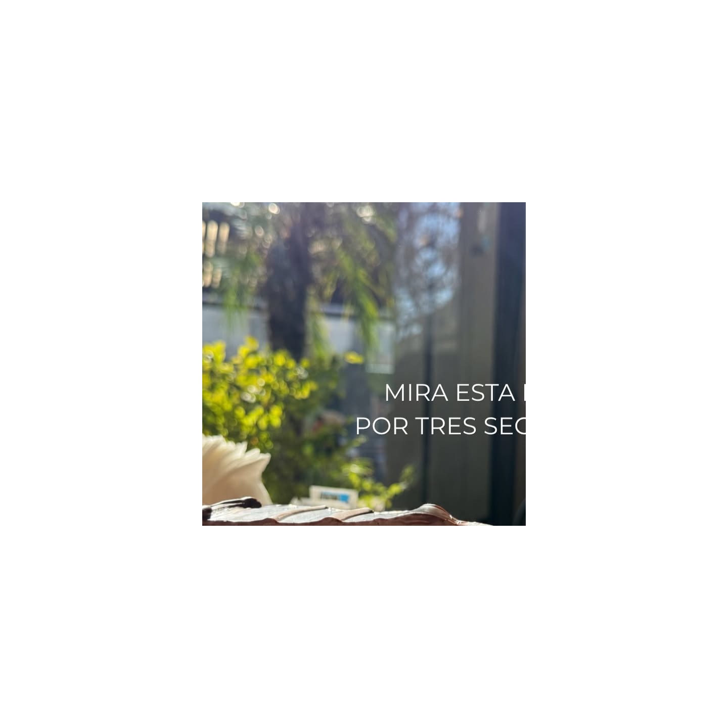 Tortas y pastelería