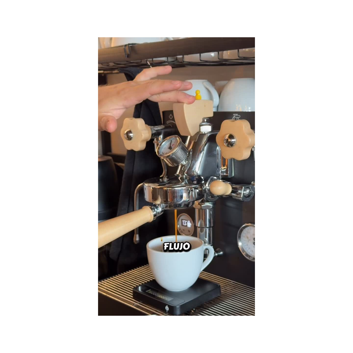 Café de especialidad