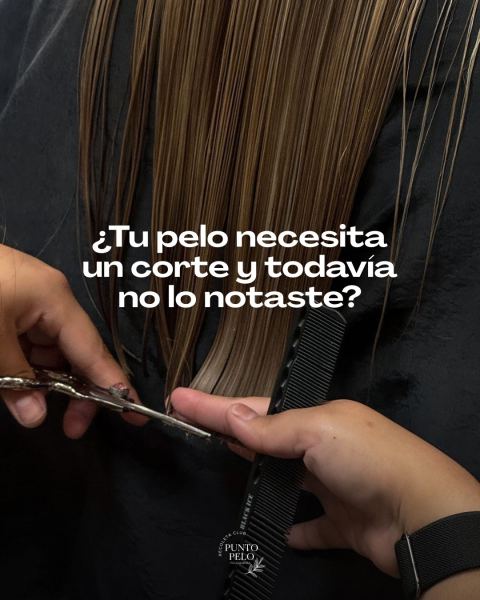 Corte de pelo