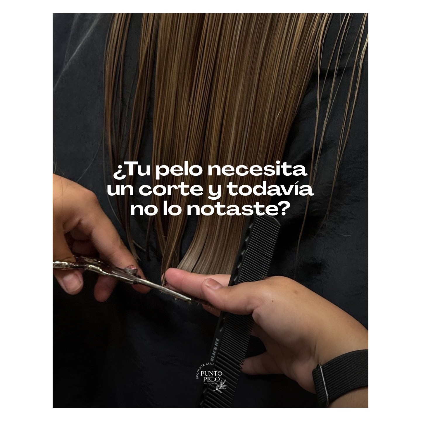 Corte de pelo