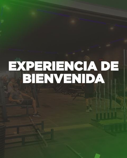 Experiencia de bienvenida HardFit