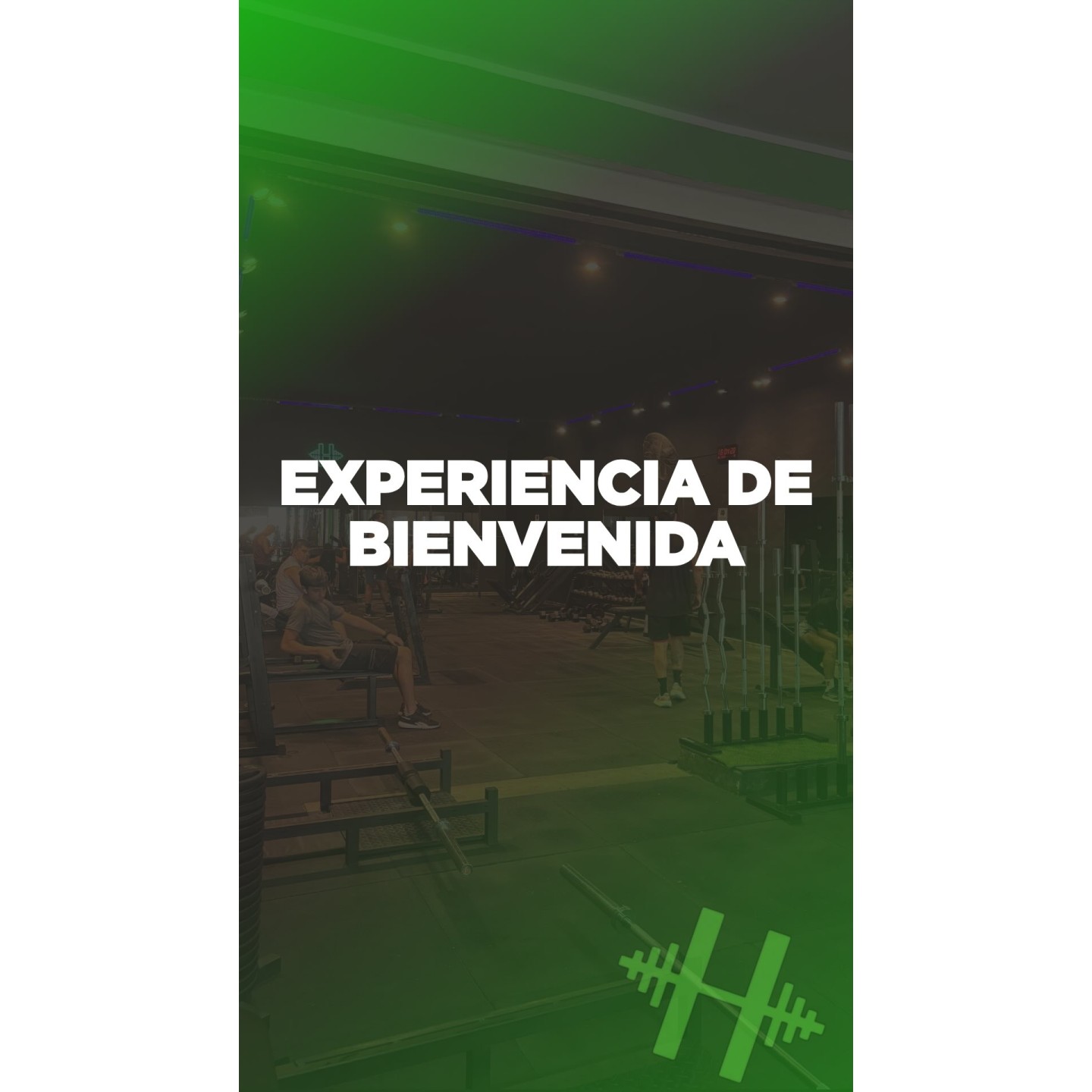 Experiencia de bienvenida HardFit
