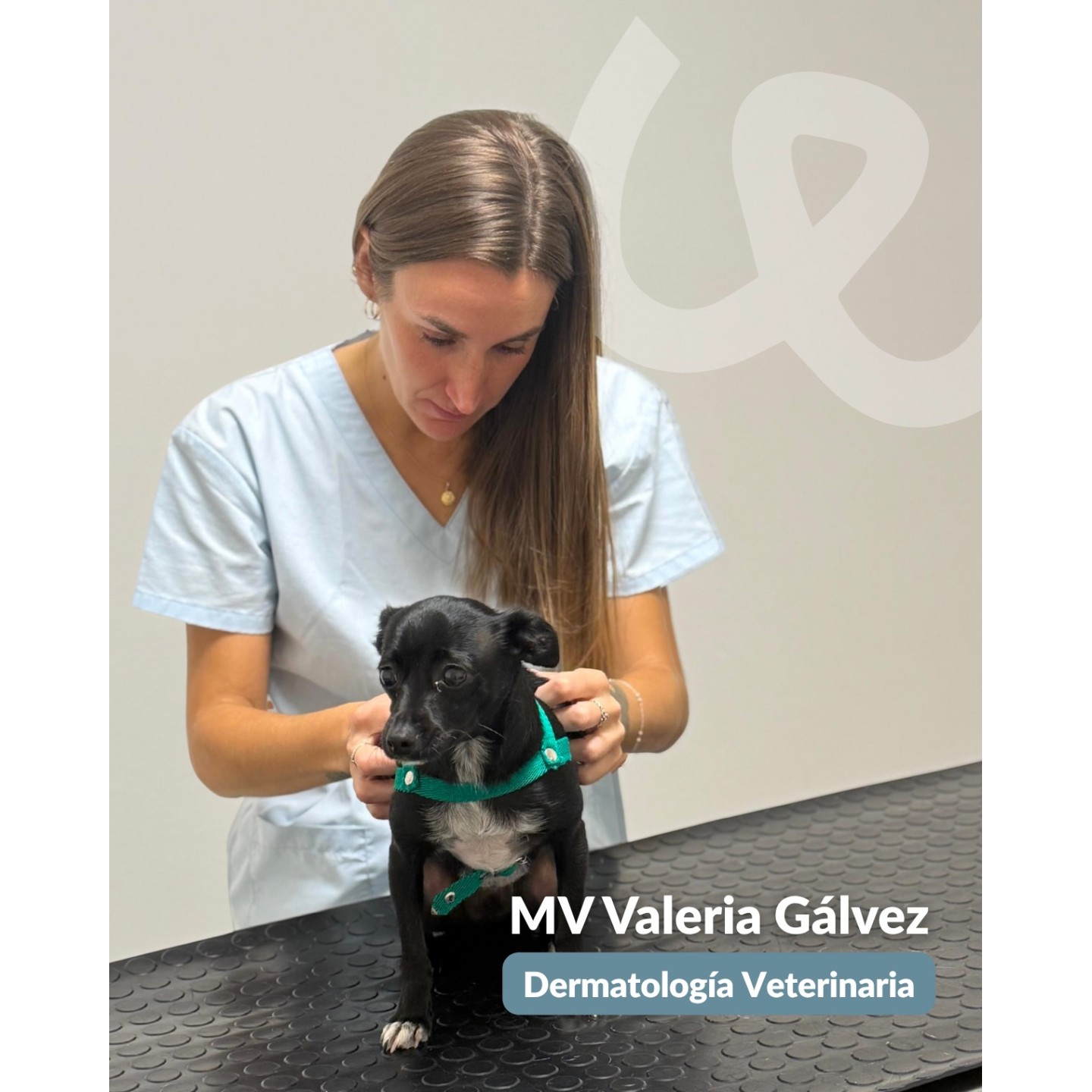 Dermatología veterinaria